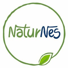NaturNes