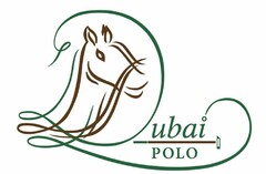 DUBAI POLO