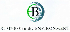 B BUSINESS in the ENVIRONMENT