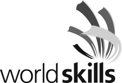 world skills