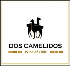 DOS CAMELIDOS, Wine of Chile