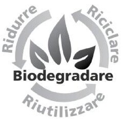 Ridurre, Riciclare, Biodegradare, Riutilizzare.