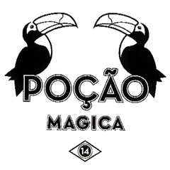 POÇAO MAGICA