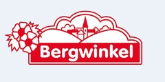 Bergwinkel