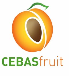 CEBAS FRUIT