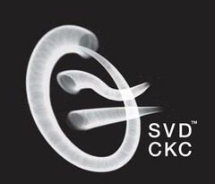 SVD CKC