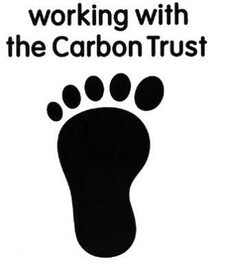 working with the Carbon Trust
