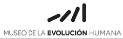 MUSEO DE LA EVOLUCIÓN HUMANA