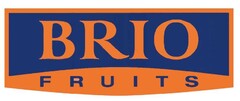 BRIO FRUITS