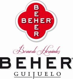 BEHER BERNARDO HERNANDEZ BEHER GUIJUELO