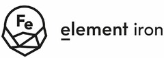 Fe element iron