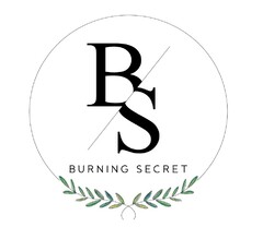 BS BURNING SECRET