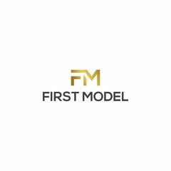 FM FIRST MODEL