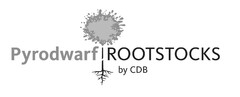 Pyrodwarf ROOTSTOCKS by CDB