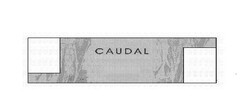 CAUDAL