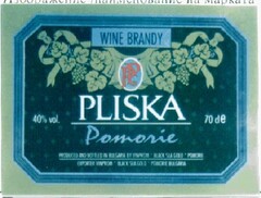 Wine Brandy PLISKA Pomorie