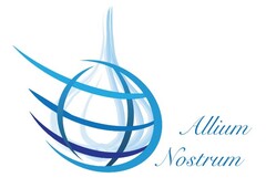 ALLIUM NOSTRUM