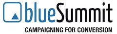 blueSummit CAMPAIGNING FOR CONVERSION