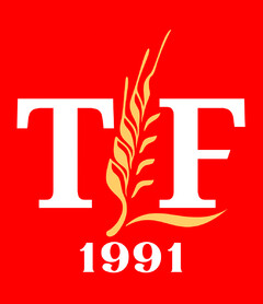 TF 1991