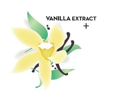 VANILLA EXTRACT+