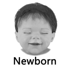 Newborn