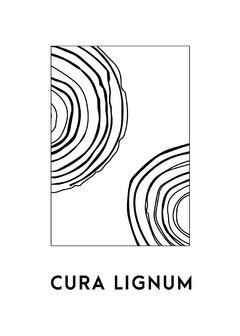 CURA LIGNUM