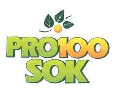 PRO100SOK