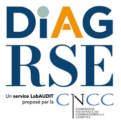 DIAG RSE Un service LabAUDIT proposé par la CNCC COMPAGNIE NATIONALE DES COMMISSAIRES AUX COMPTES