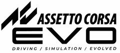 ASSETTO CORSA EVO DRIVING SIMULATION / EVOLVED