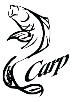 Carp