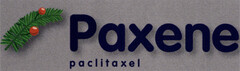 Paxene paclitaxel