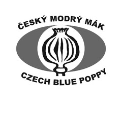 Český modrý mák Czech blue poppy