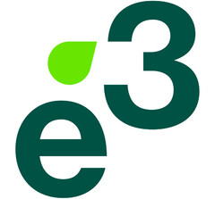 E 3