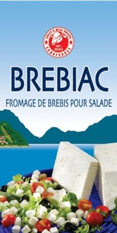 BREBIAC FROMAGE DE BREBIS POUR SALADE