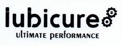 LUBICURE ULTIMATE PERFORMANCE