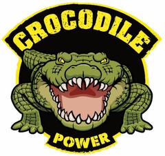 CROCODILE POWER