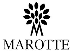 M MAROTTE