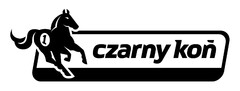 czarny koń