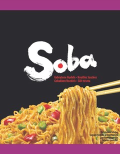 Soba Gebratene Nudeln Nouilles Sautées Gebakken Noedels Sült tészta