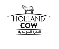 HOLLAND COW, البقرة الهولندية