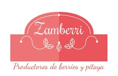 ZAMBERRI Productores de berries y pitaya