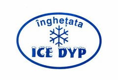 înghețata ICE DYP