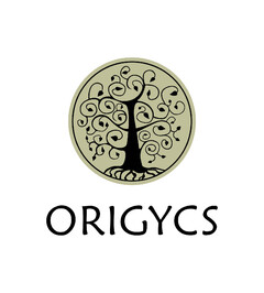 ORIGYCS