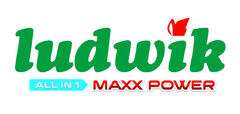 ludwik ALL IN 1 MAXX POWER