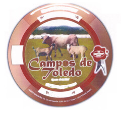 Campos de Toledo
