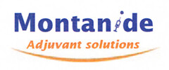 Montan ide ??solutions