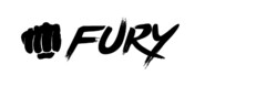 FURY