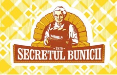 SECRETUL BUNICII