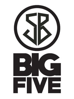 BIG FIVE