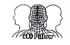 ECO Pillow